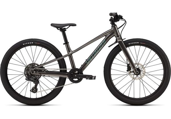 Specialized RIPROCK 24 INT 24 SMOKE/FJORD METALLIC